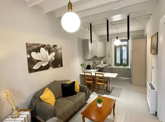 Elia Downtown Eco House